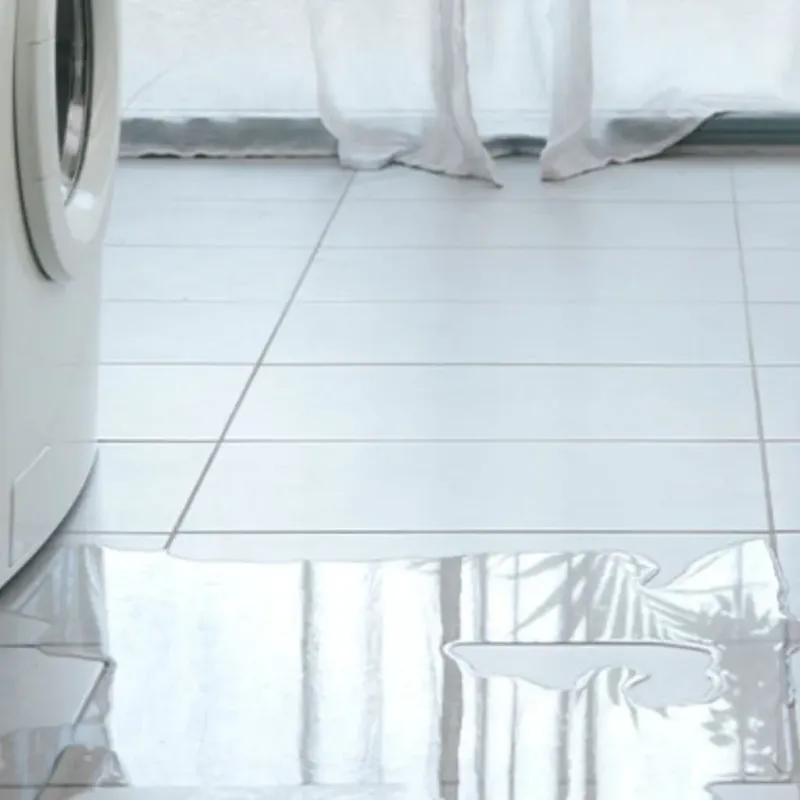 Appliance Leak Cleanup in South Sumter, SC
