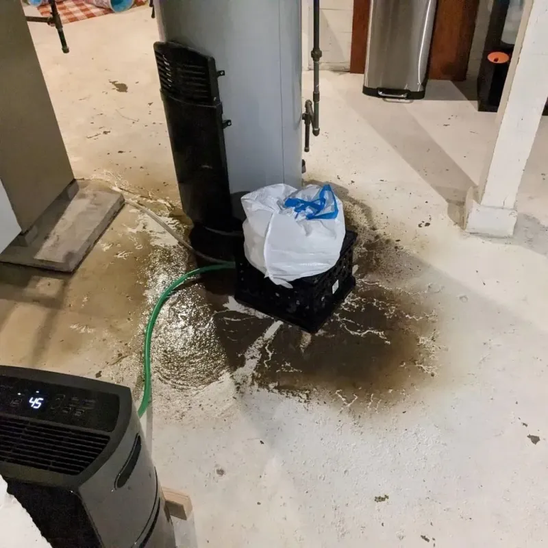 Sewage Backup Cleanup Service in South Sumter, SC